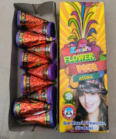 FLOWER POT GIANT&ASHOKA (10 PCS)